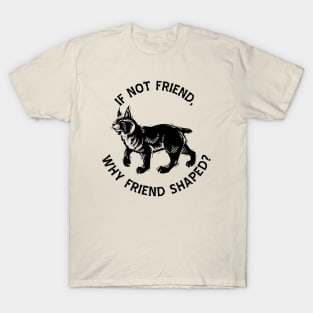 If not friend, why friend shaped? T-Shirt